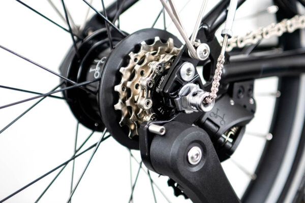 Electric C Line with Roller Frame - 12-speed