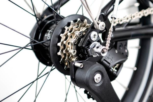 Electric P Line - 12-speed